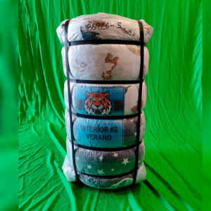 Interior Tigre #2